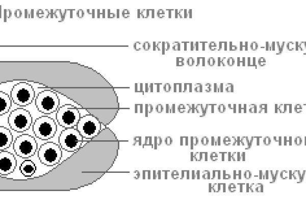 Блэкспрут это будущее blacksprut adress com