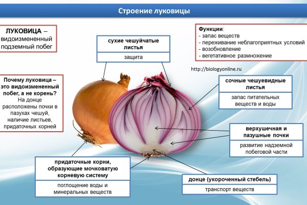 Блэк спрут рабочее зеркало blacksprut pl